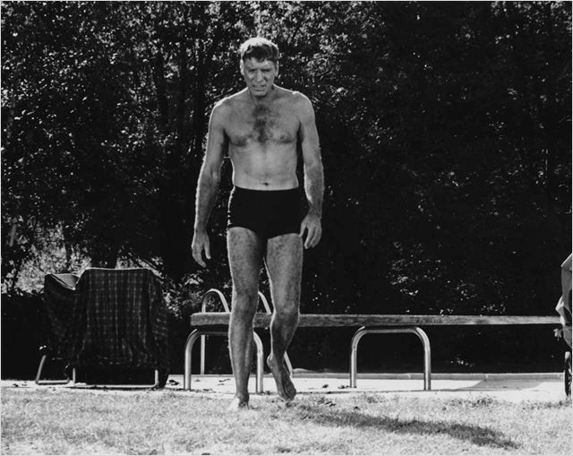 The Swimmer